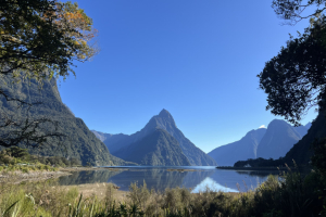 fiordland-300-200